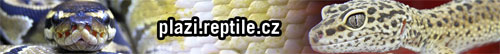 www.plazi.reptile.cz